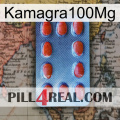 Kamagra100Mg 06